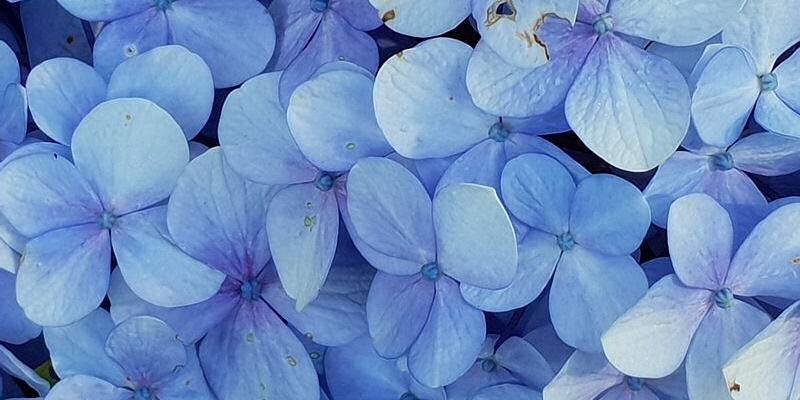 Local image of Stratford on Avon